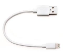 short lightning cable.