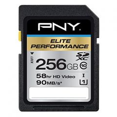 PNY 256 GB SDCARD