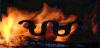 wbrand and fire.jpg