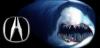 acurashark.jpg