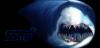 stishark.jpg