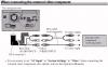 Avic-Z1 Video connection.jpg