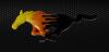 CARBON flame.jpg