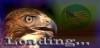 hawk.jpg